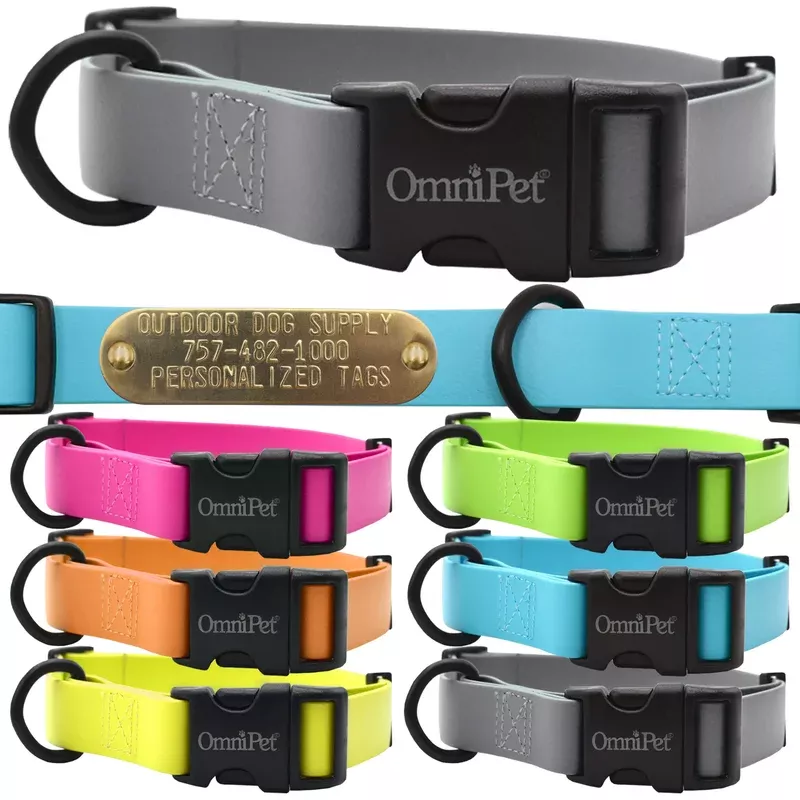 1″ Carnival Color Dog Collar with Brass Name Plate