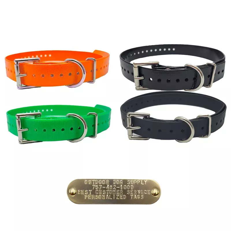 1″ Double Buckle Dog Collar with 3/4″ Brass Name Plate