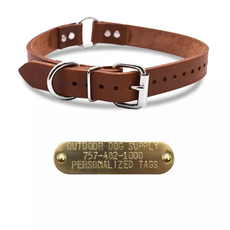 1″ Leather Center Ring Dog Collar with Brass Name Plate