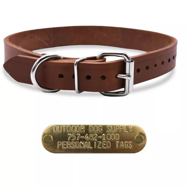 1″ Leather D Ring Dog Collar with Brass Name Plate