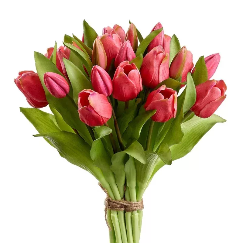 11.75 Tulip Bouquet|Fuchsia&White/Green&Pink&Yellow