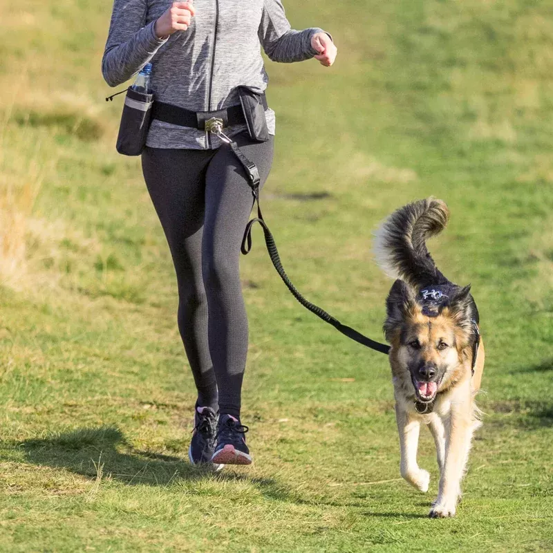 1275 Waist belt with leash, up to 40 kg, black