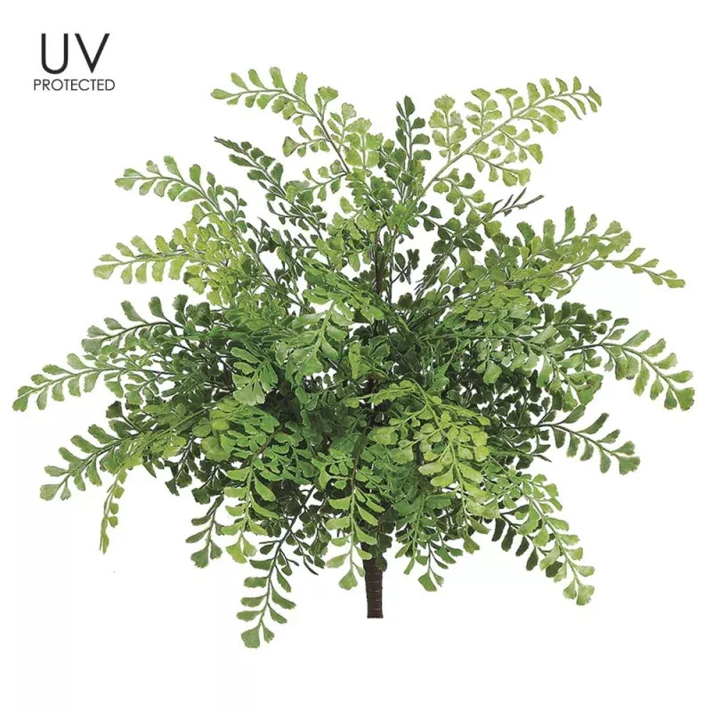 19 UV Protected Maidenhair Fern Bush Green