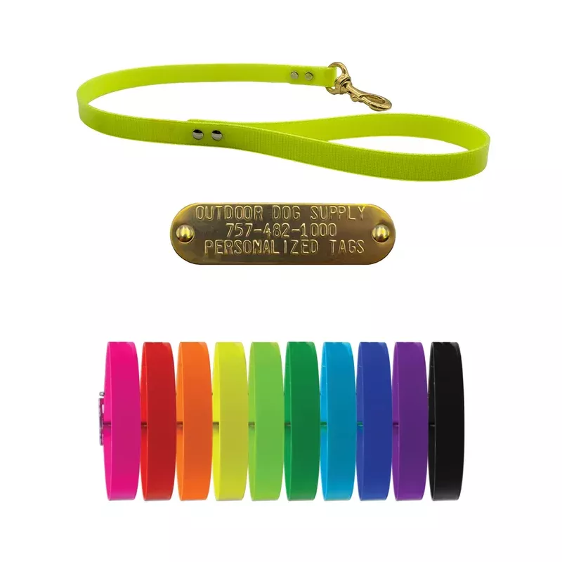 2 ft Flat Leash