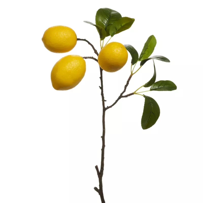 20 Lemon Spray
