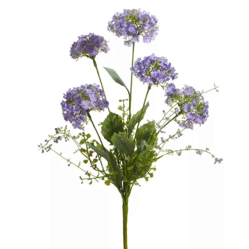 20 Purple Hydrangea Bush