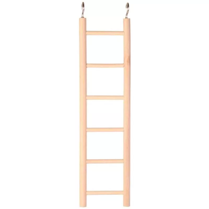 5815 – Ladder