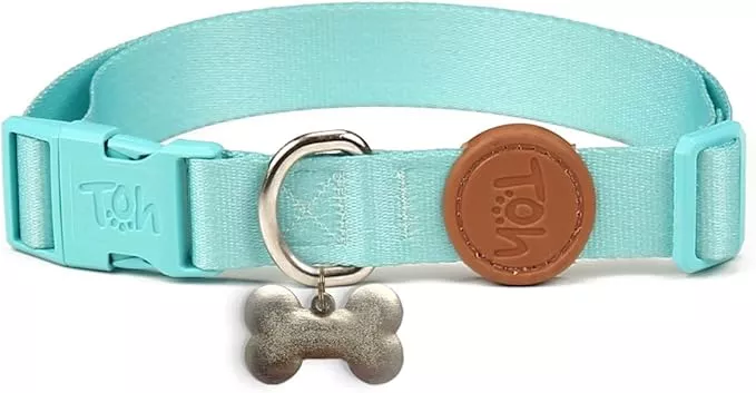 Adjustable Dog Collar with ID Tag – Soft Polyester, Quick Release Buckle – Durable, Waterproof, Cute Dog Collar – Puppy Collar, Stylish Pet Accessories (Fiji, Small)
