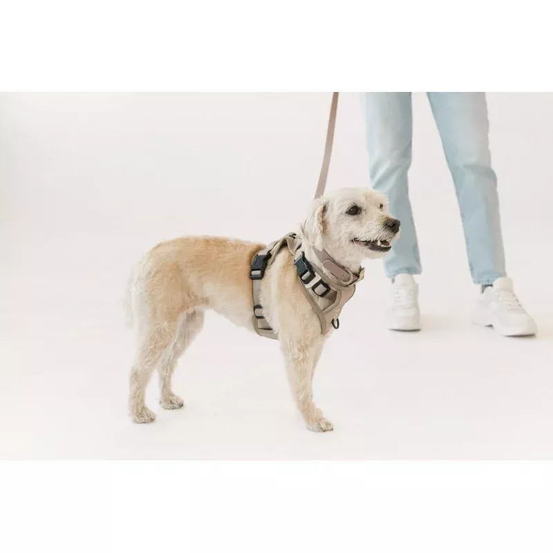 Affogato Classic 2.0 Harness