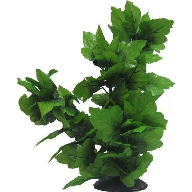 Amazon Jungle Tall Spatophylum Tree
