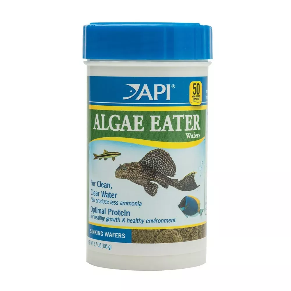 API Algae Eater Wafers for Aquarium