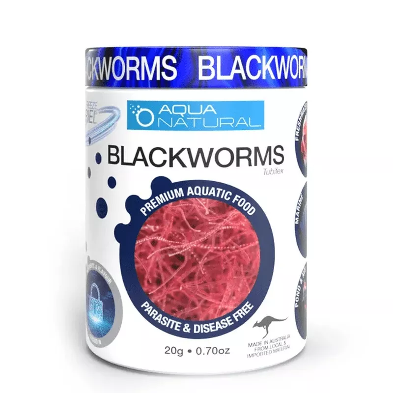 Aqua Natural Freeze Dried Blackworms 20g