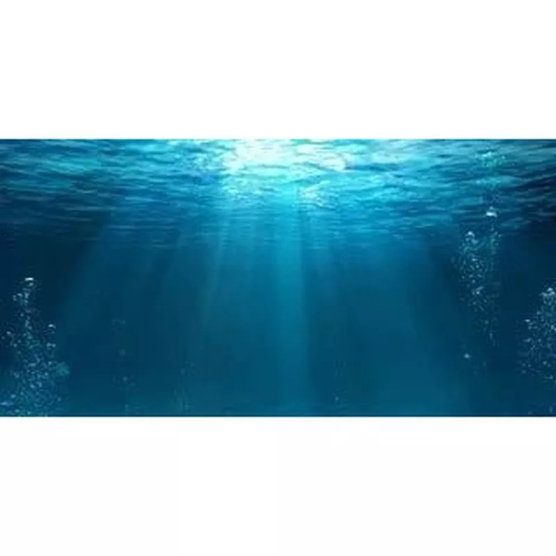 Aqua Natural Underwater Background