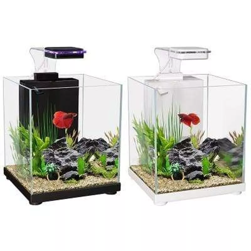Aqua One Betta Sanctuary Glass Aquarium 10L