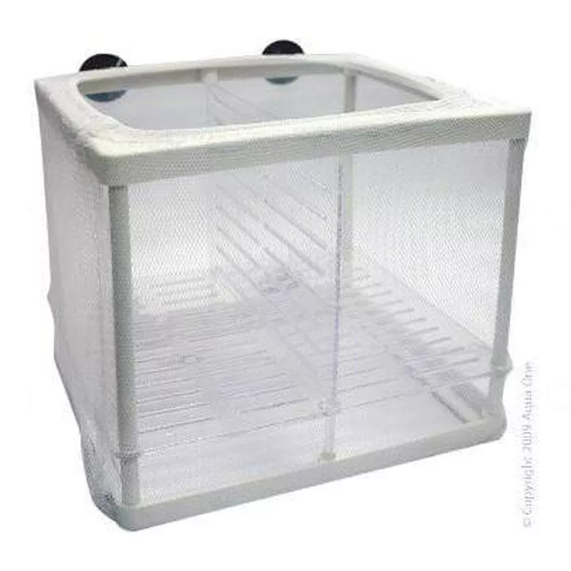 Aqua One Net Breeder & Separation Box Small (15.5 x 14 x 15cm)