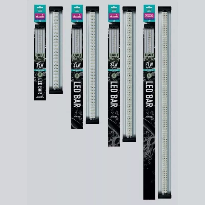 Arcadia Jungle Dawn LED Bar
