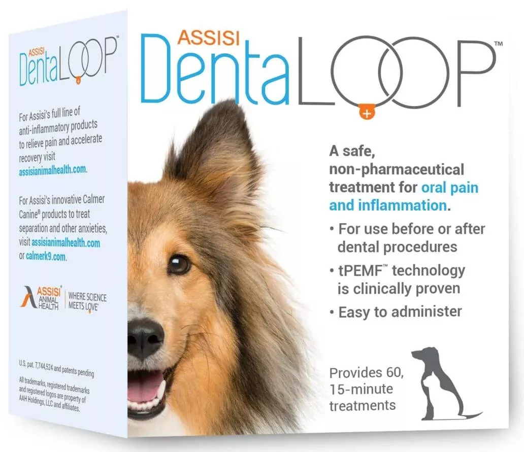 Assisi DentaLOOP tPEMF Device for Dogs and Cats