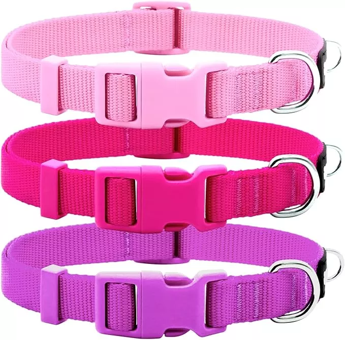 azuza 3 Pack Dog Collars Comfortable and Adjustable Nylon Dog Collars for Puppy Small Dogs, XS (8-12inch),Green, Blue and Royal Blue