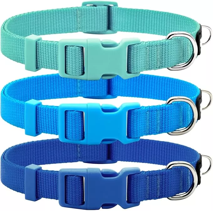 azuza 3 Pack Dog Collars Comfortable and Adjustable Nylon Dog Collars for for Small Dogs, S (11-16inch),Green, Blue and Royal Blue