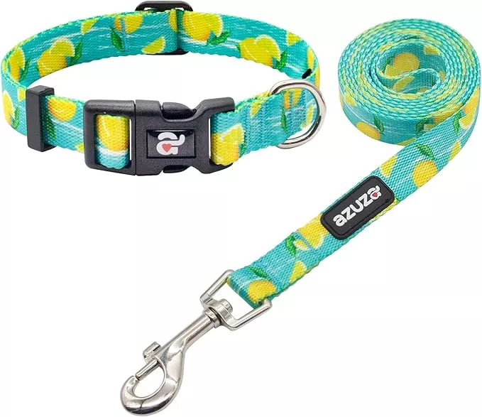 azuza Dog Collar and Leash Set, Lemon Patterns on Blue Nylon Collar and Matching 6ft Leash, Adjustable for Small Dogs