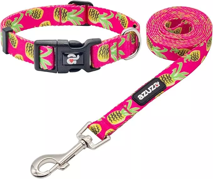 azuza Dog Collar and Leash Set, Pineapple Patterns on Nylon Collar and Matching Leash, Great Option for Medium Dogs