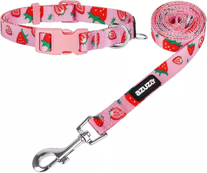 azuza Fruit Dog Collar and Leash Set, Collar Nylon and Matching Leash, Great Option for Small Medium Large Dogs, Strawberry, S (Neck: 11″-16″)