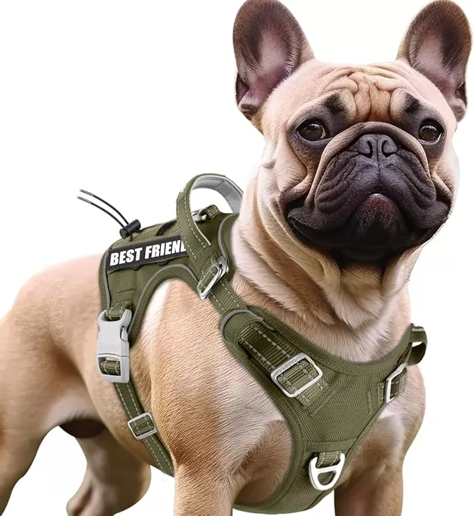 BARKBAY Service Dog Vest Tactical Dog Harness Medium Large Sized Dog Tags Personalized No Pull Adjustable Harness Reflective K9 Working Training Easy Control Military Molle System(Black,M)