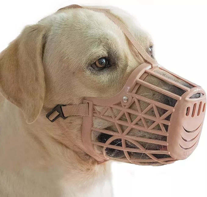Basket Dog Muzzle for Large Medium Small Dogs, Cage Muzzles to Prevent Biting Chewing Licking Scavenging, Mouth Cover with Adjustable Strap for Vet Visits, Grooming, Walking (Size 5, Beige)