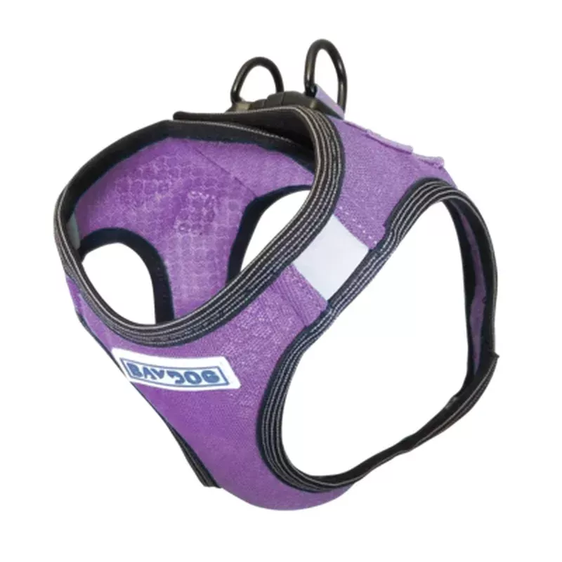 BayDog Liberty Bay Harness – Violet