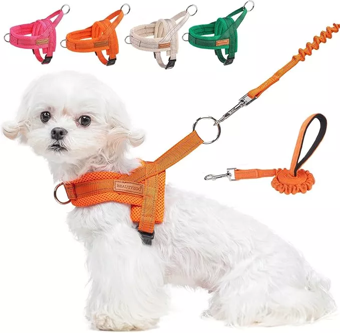 BEAUTYZOO Dog Harness for Small Dogs, No Pull Dog Harness and Leash Set, Escape Proof Puppy Vest Harness with Handle, Reflective Breathable Mesh Padded Harness for Girl Boy Dogs, Beige XXS