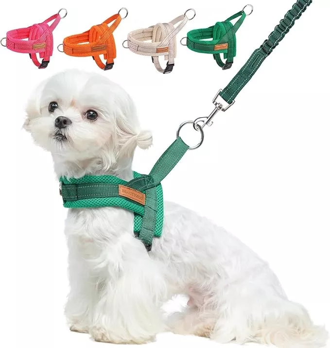 BEAUTYZOO Dog Harness for Small Dogs, No Pull Dog Harness and Leash Set, Soft Escape Proof Puppy Vest Harness with Handle, Reflective Lightweight Step in Harness for Girl Boy Dogs, Beige XS