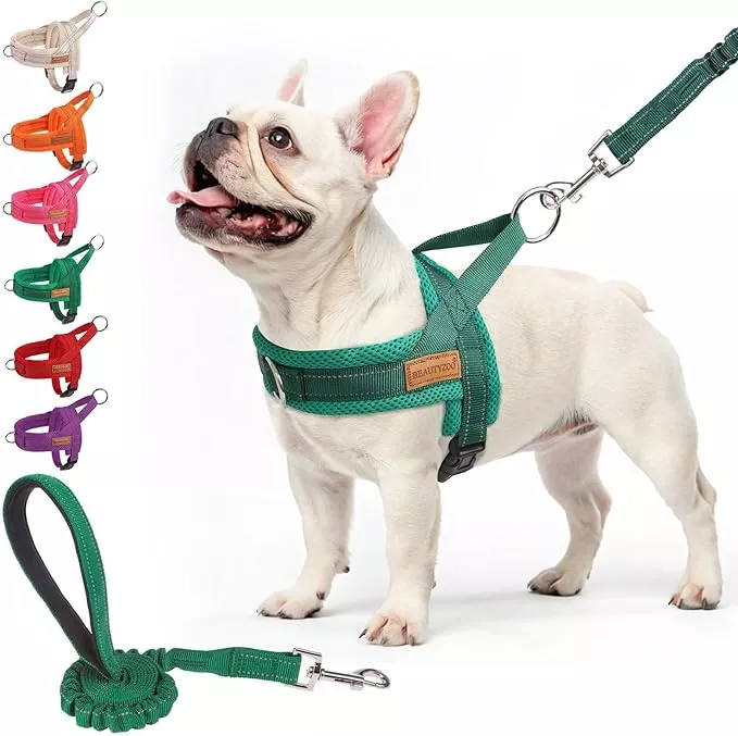 BEAUTYZOO No Pull Dog Harness Medium Sized Dog, Breathable Mesh Padded Dog Harness and Leash Set, Adjustable Reflective Escape Proof Dog Vest Harnessss Quick Fit for Training Walking, Green M