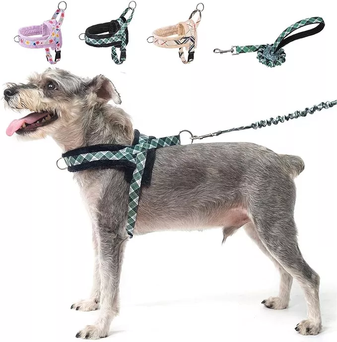 BEAUTYZOO No Pull Small Dog Harness and Leash Set, Soft Puppy Vest Harness with Handle Escape Proof & Easy Walk, Lightweight Dog Winter Harness Chest Adjustable for Girl Boy Dogs Max 7 lbs, Green XXS