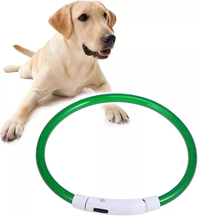 BESPORTBLE USB Charging Dog Collar Led Luminous Night Collar Modes Flashing for Pet Safety