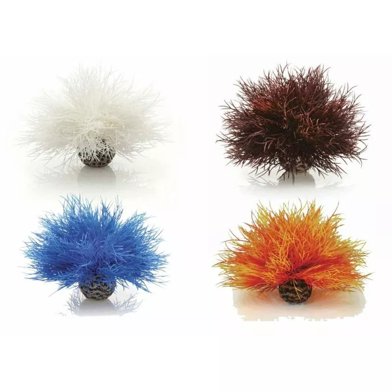 biOrb Aquatic Sea Lily