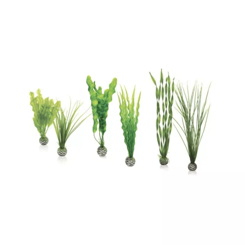 biOrb Easy Plant Set Green