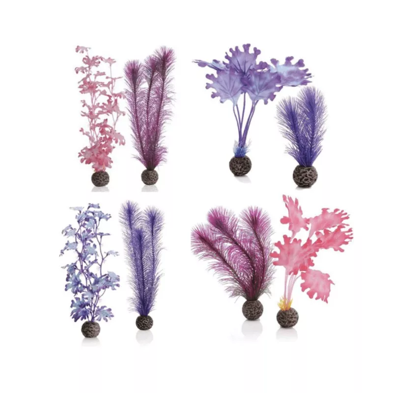 biOrb Kelp Set