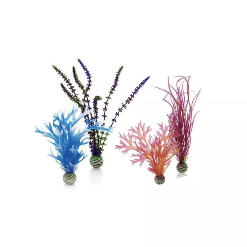 biOrb Plant Set