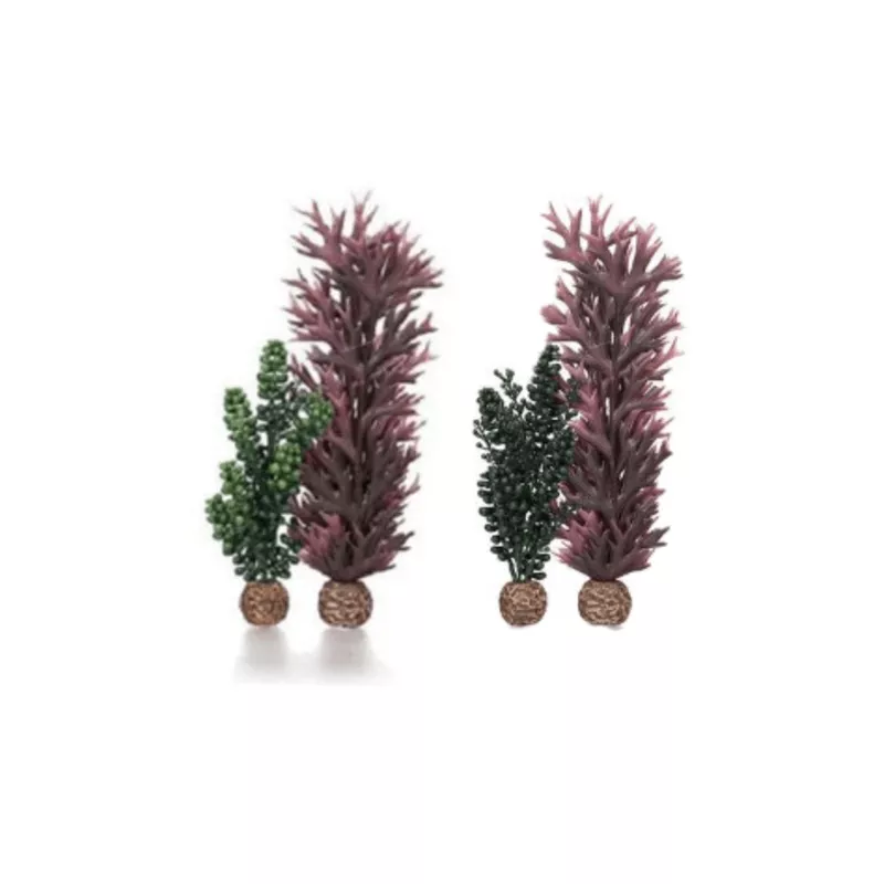 biOrb seapearls & Kelp