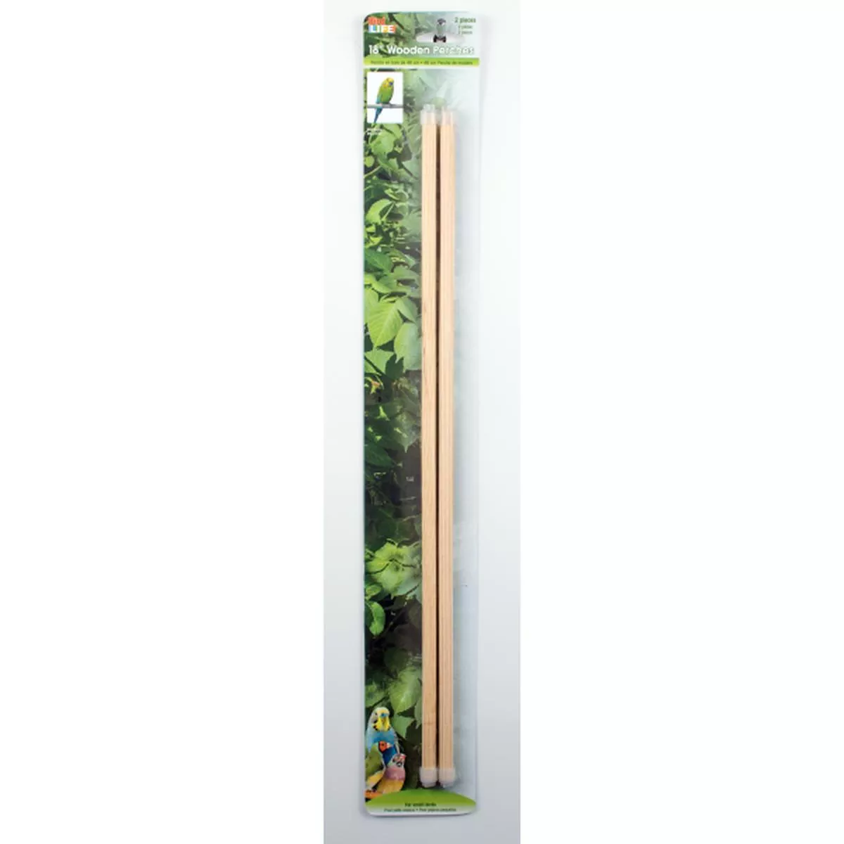 BIRD LIFE PERCH WOOD