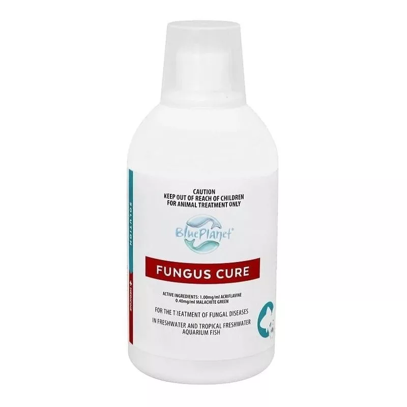 Blue Planet Fungus Cure