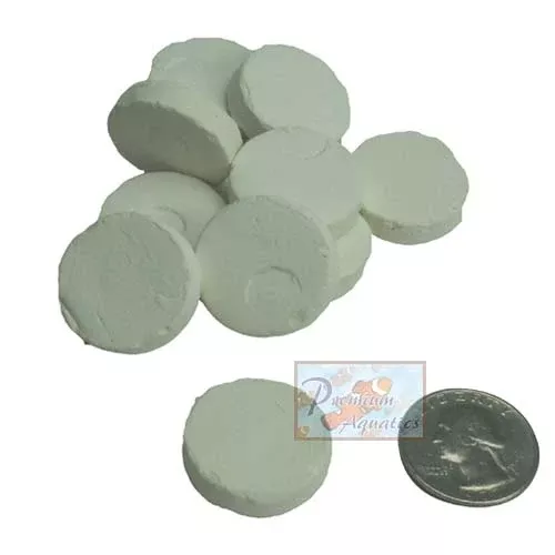 Boston Aqua 1″ Round Ceramic Disks, 25 piece bag