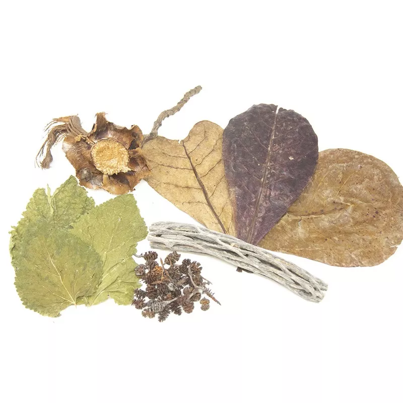 Botanical Combo Pack