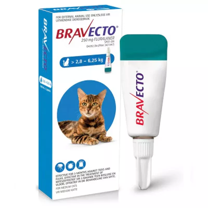 Bravecto Cat Medium