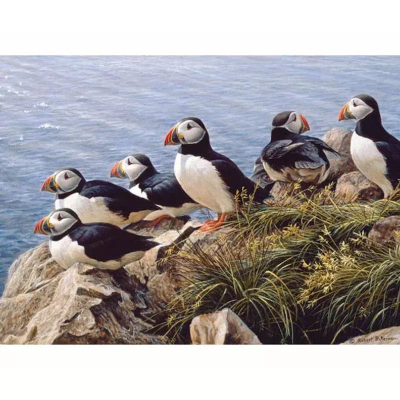 Bright Day (Puffins) – 1000 Piece Jigsaw Puzzle