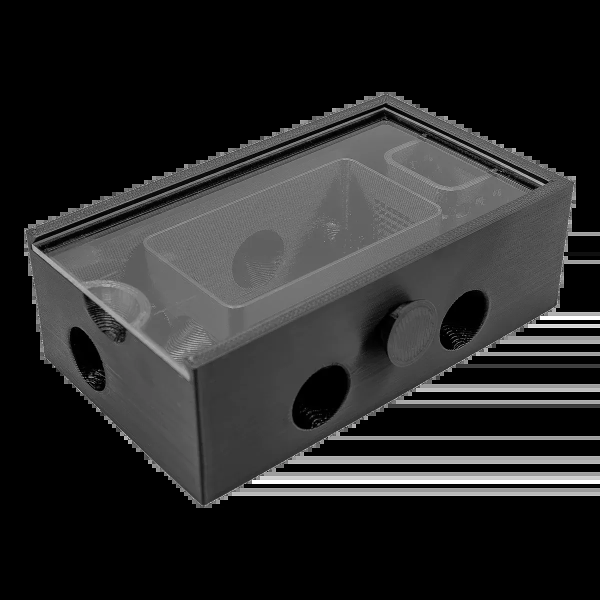 Bristle Worm Trap