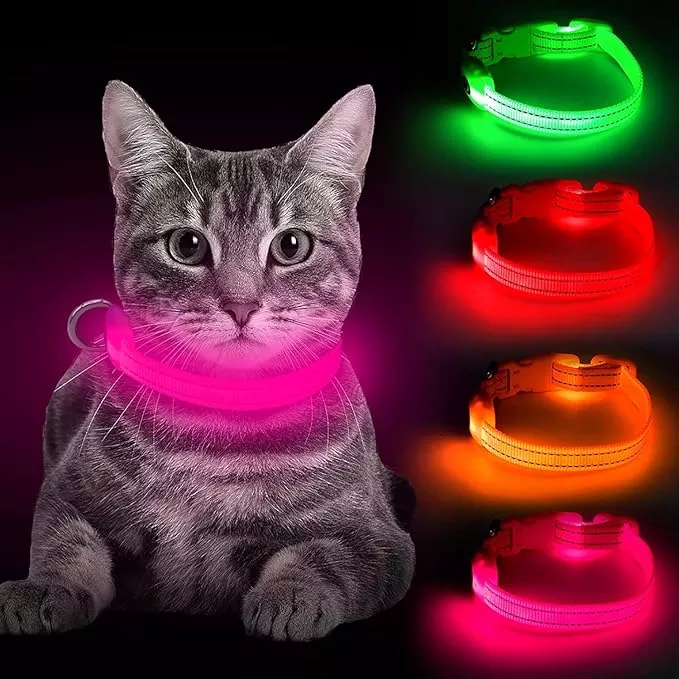 BSEEN Light Up Dog Collar – Reflective LED Dog Collar Rechargeable Glowing Pet Collar for Puppies & Cats, Safety Dog Lights for Night Walking (Pink)