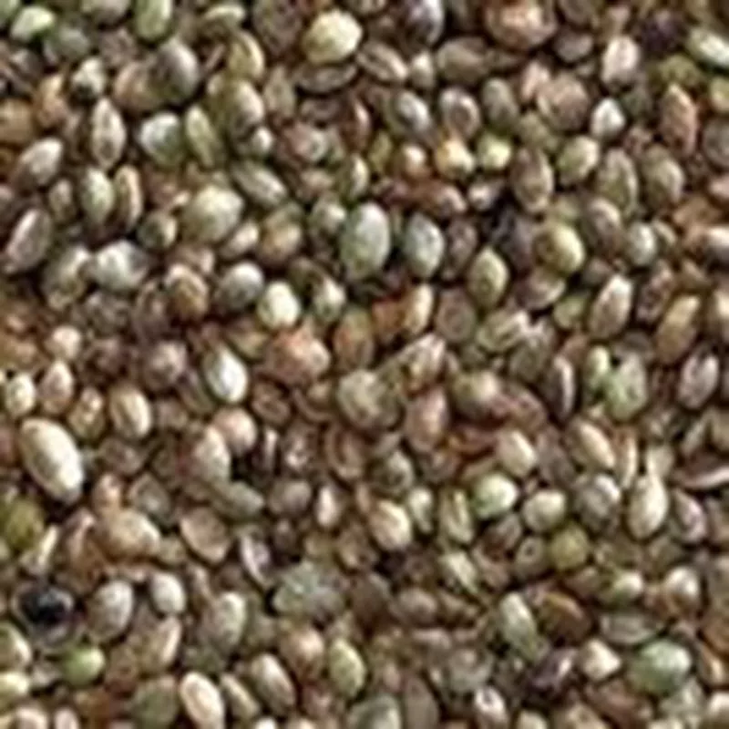 Bucktons Hempseed