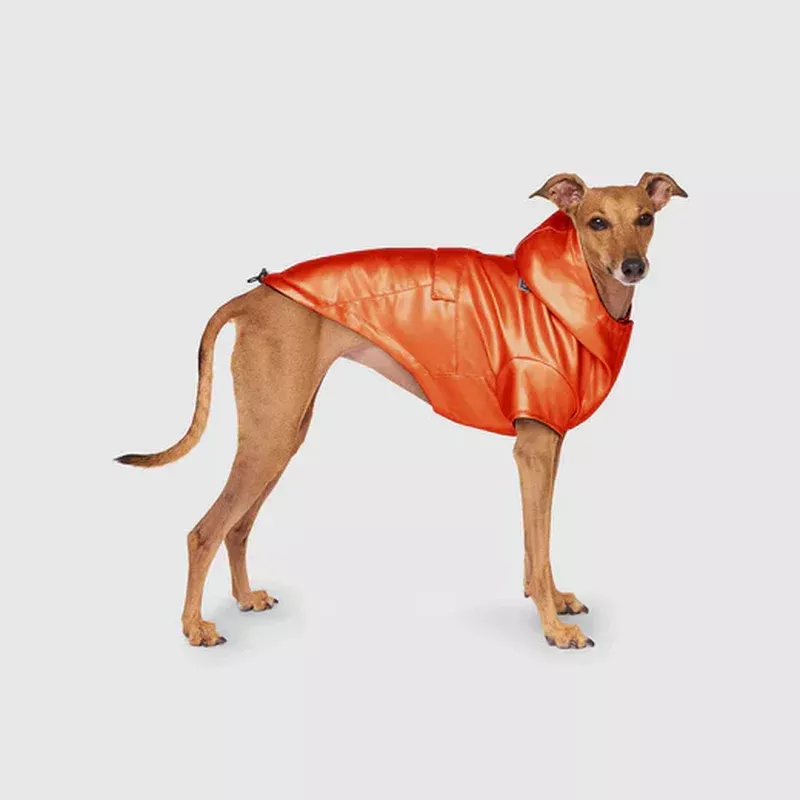 Canada Pooch Cold Front Raincoat – Orange 20″