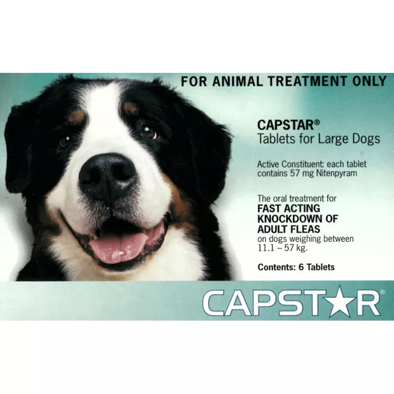 Capstar Green for Dogs over 11kgs